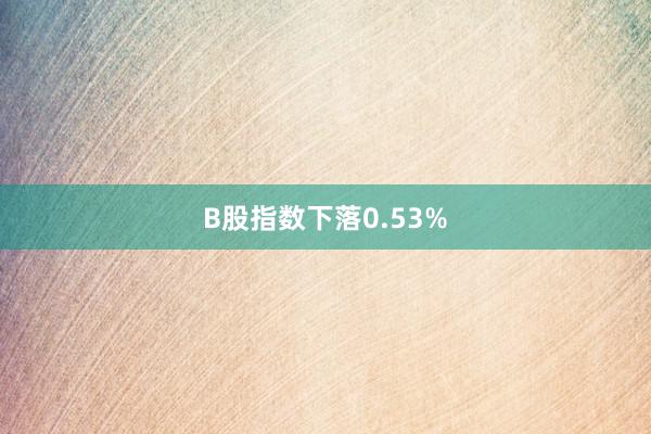 B股指数下落0.53%